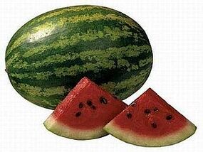 Water melon diet for weight loss